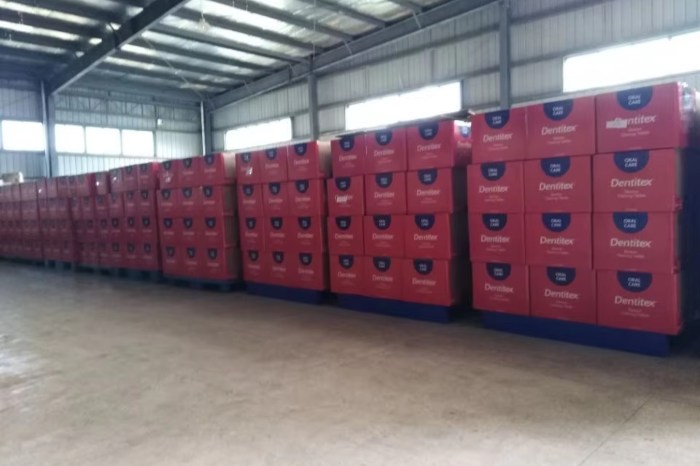 DDP Shipping Service